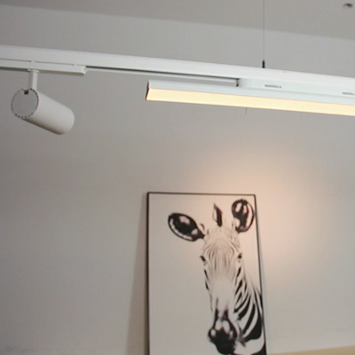 Removable UT90 Track light